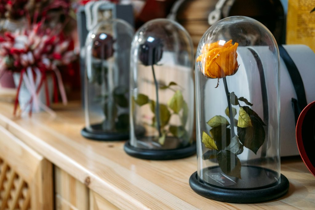 Preserved Stabilized Roses in flower florist shop, boutique. Flower Head Preserved, Infinity Rose in